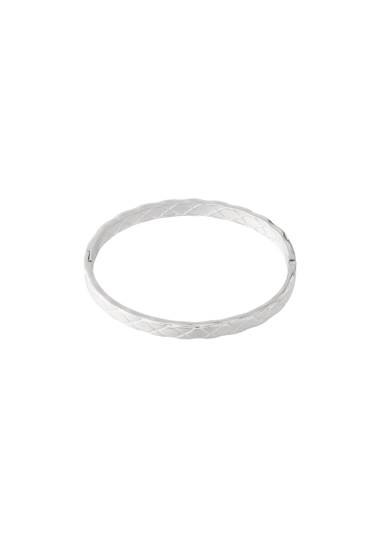 Silver Color Picture2