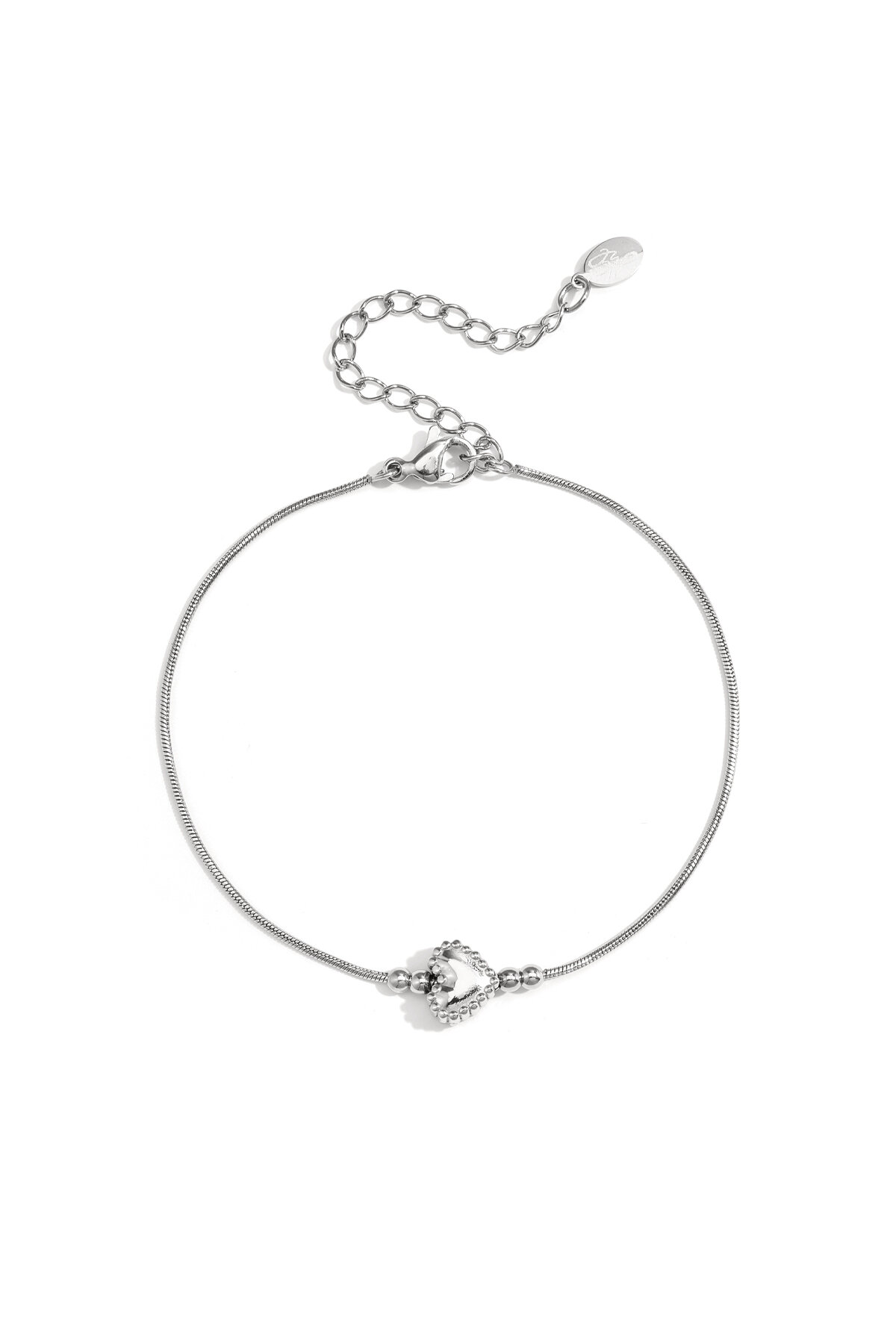 Silver Color Picture2