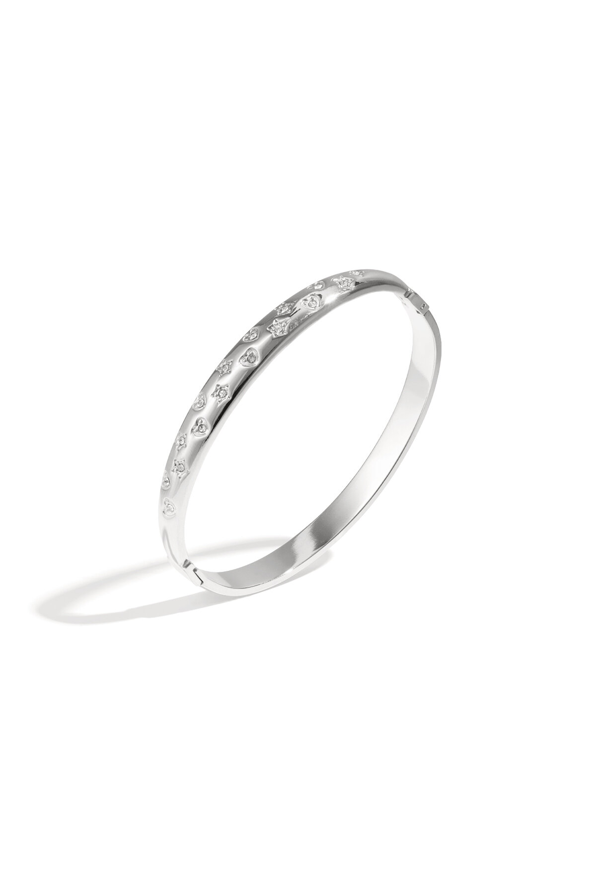 Silver Color Picture2