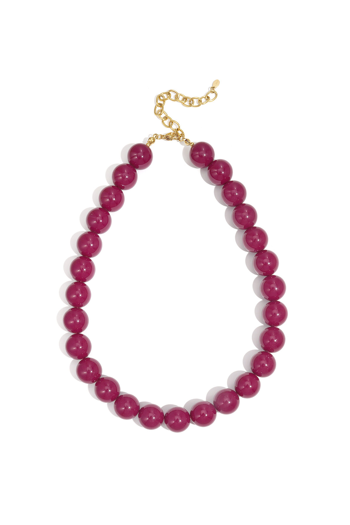 Fuchsia Picture10