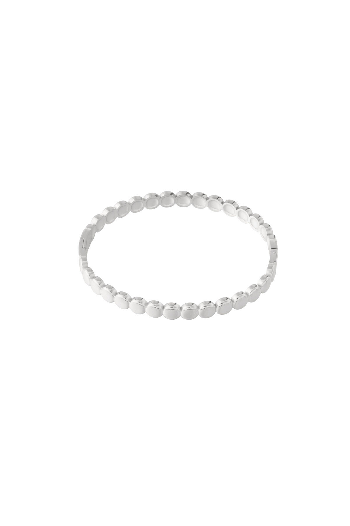 Silver Color Picture2