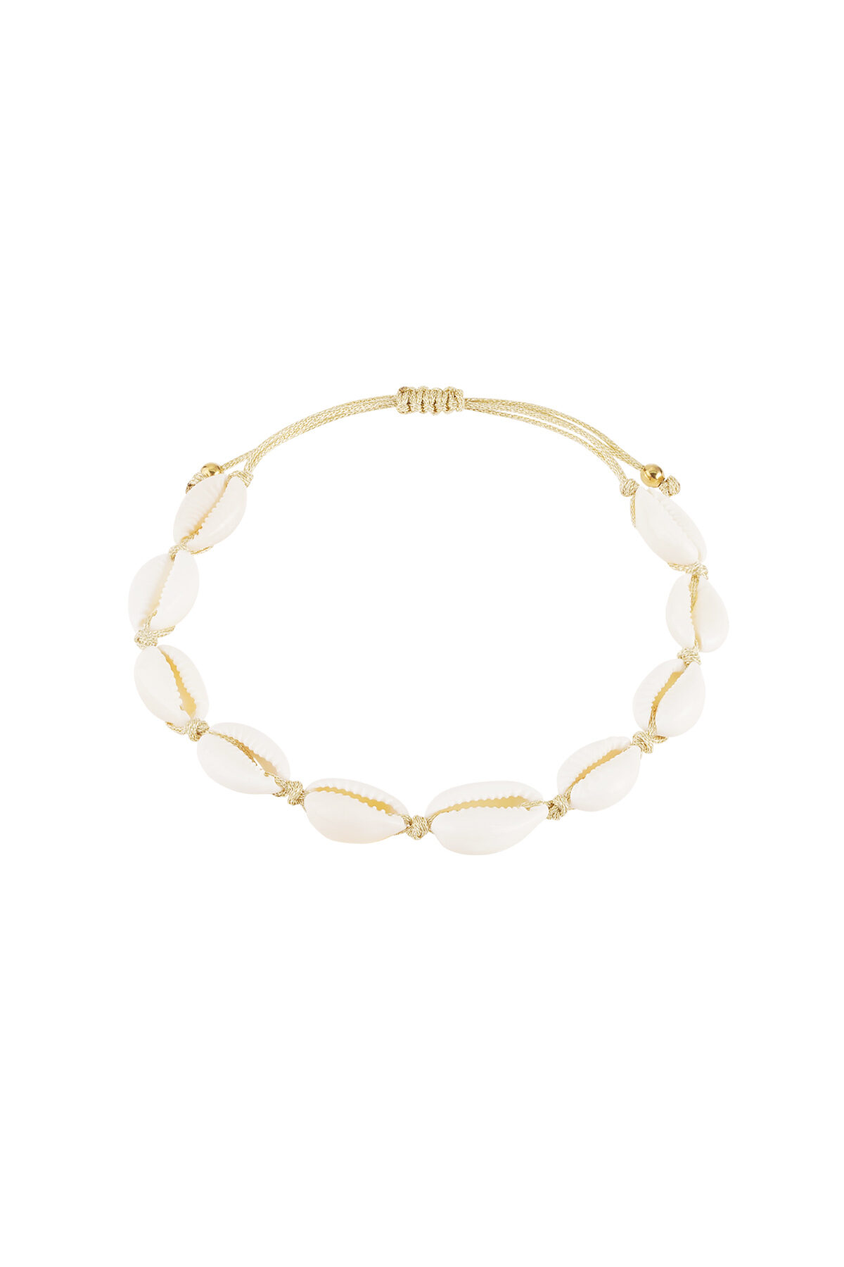 Anklet Shell Beach Gold Color Sea Shells h5 