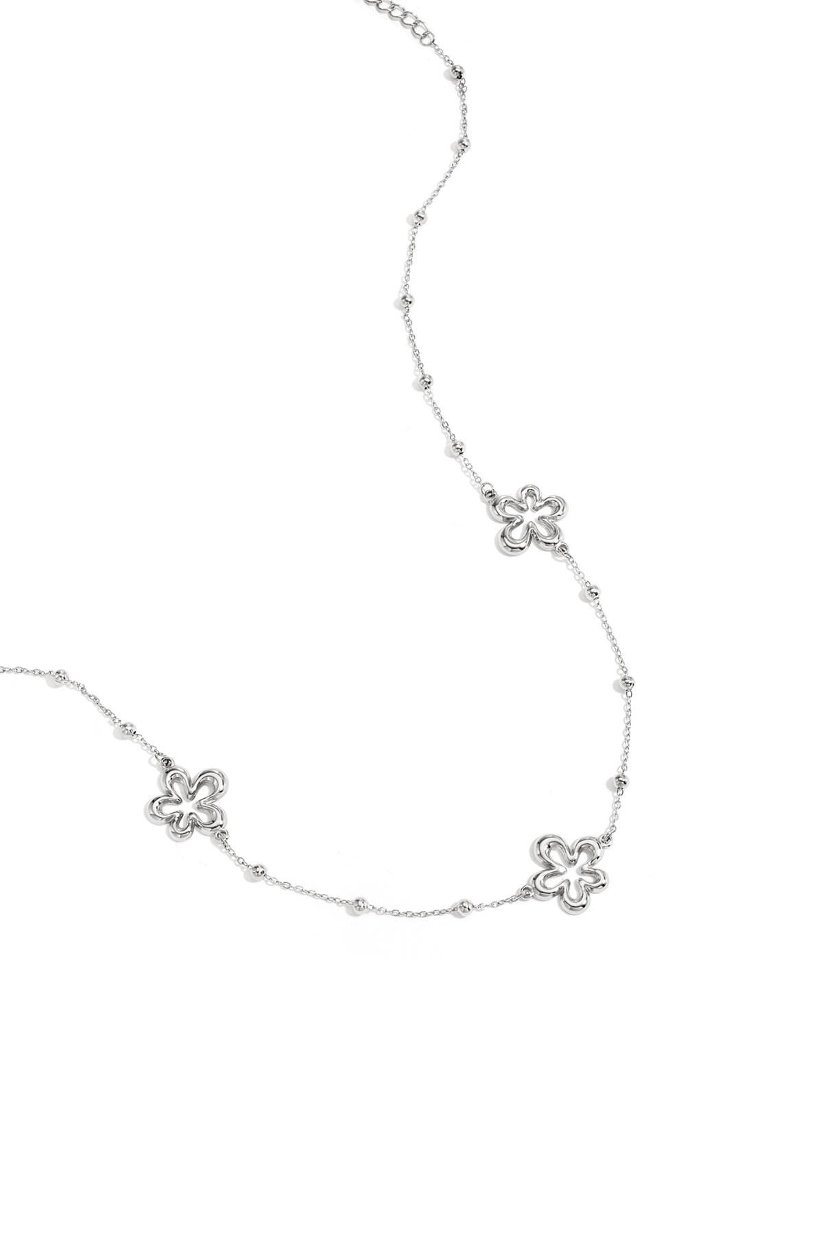 Silver Color Picture2