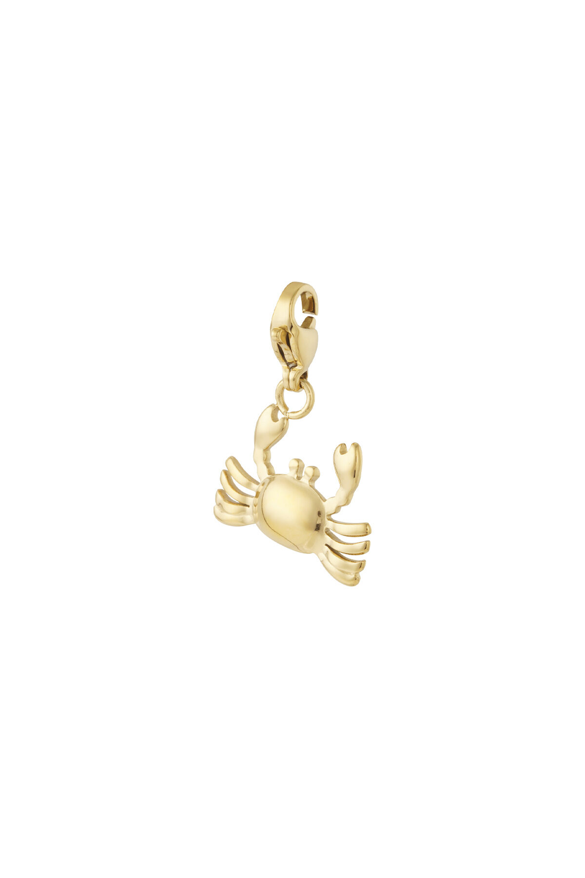 Crab jewelry charm h5