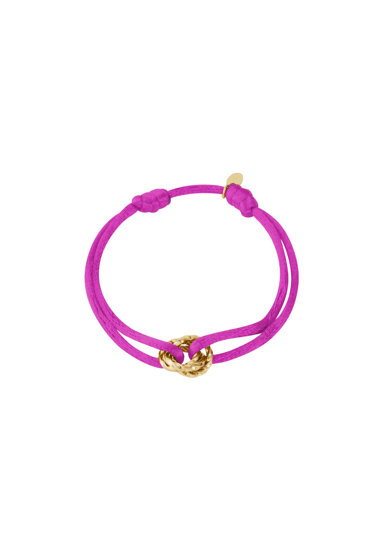 Fuchsia Picture2