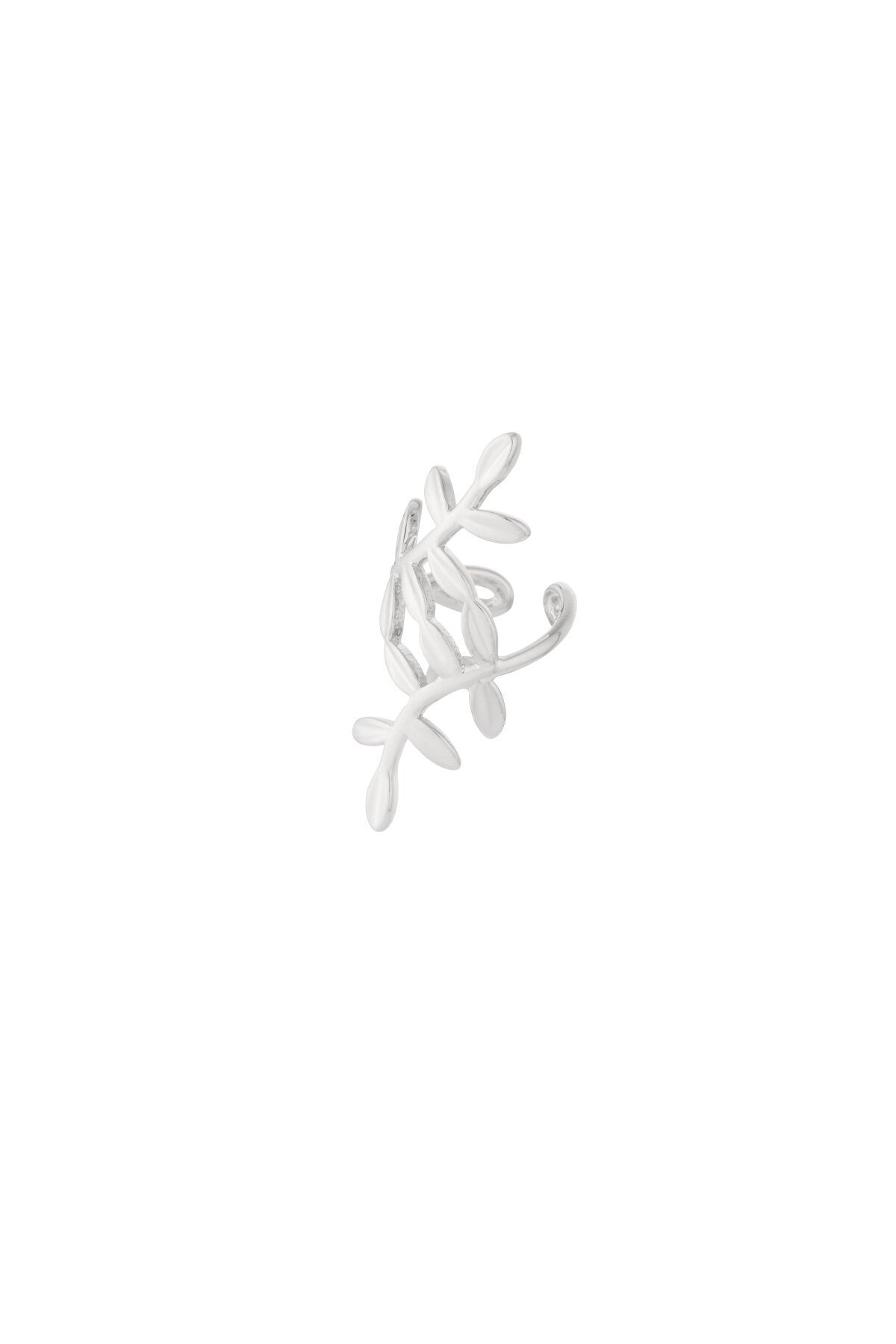 Silver Color Picture2