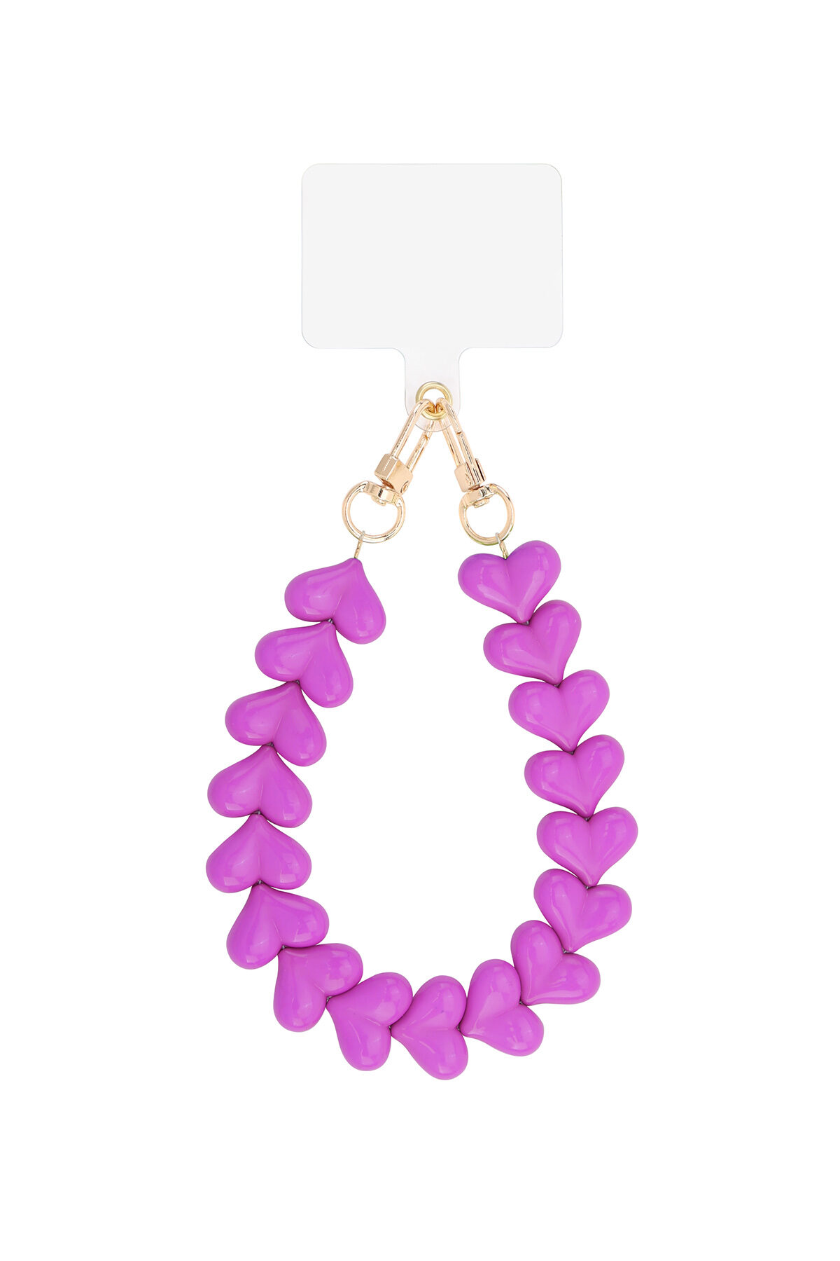 Fuchsia Picture21