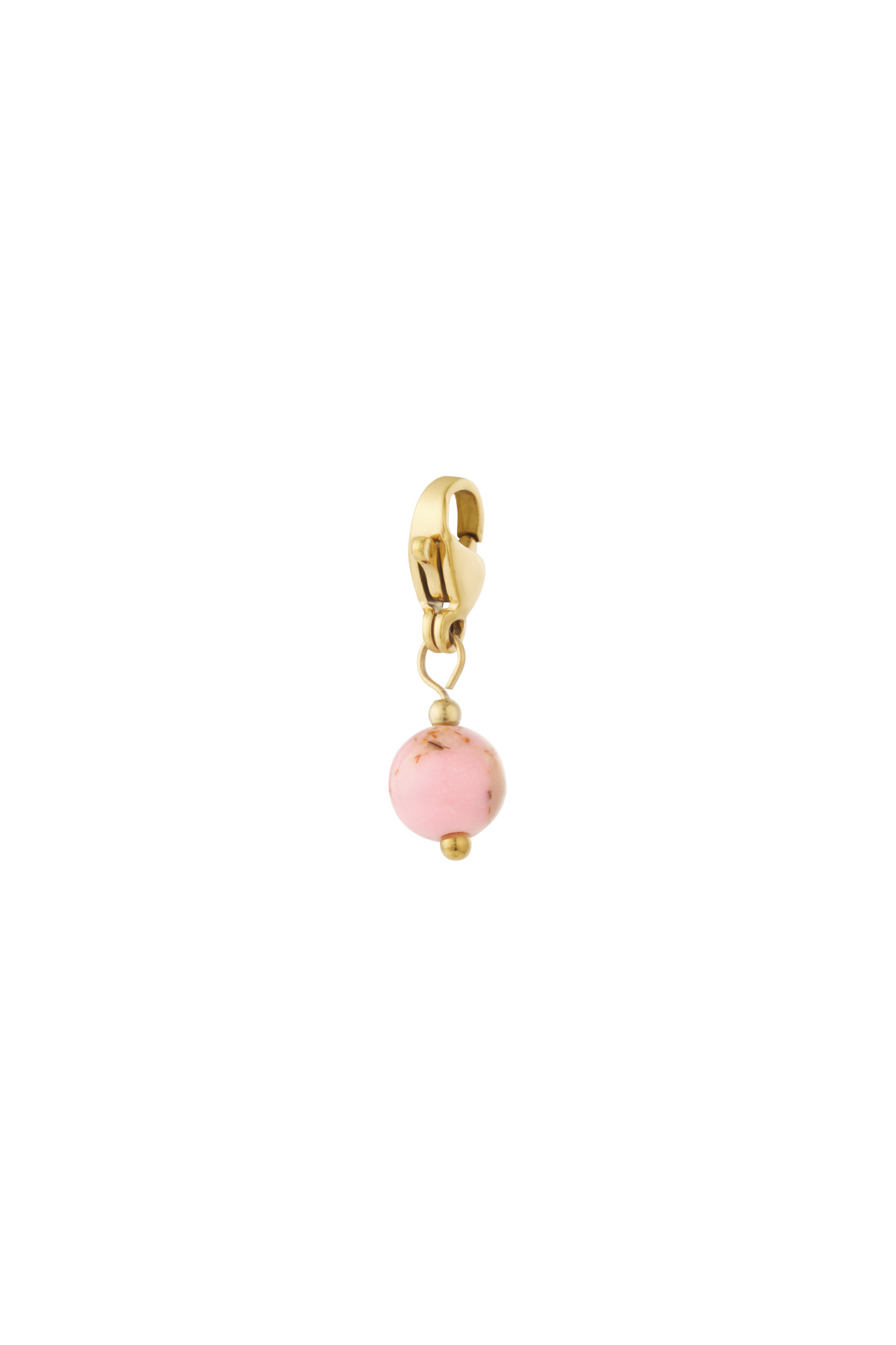 Rosa Bild2