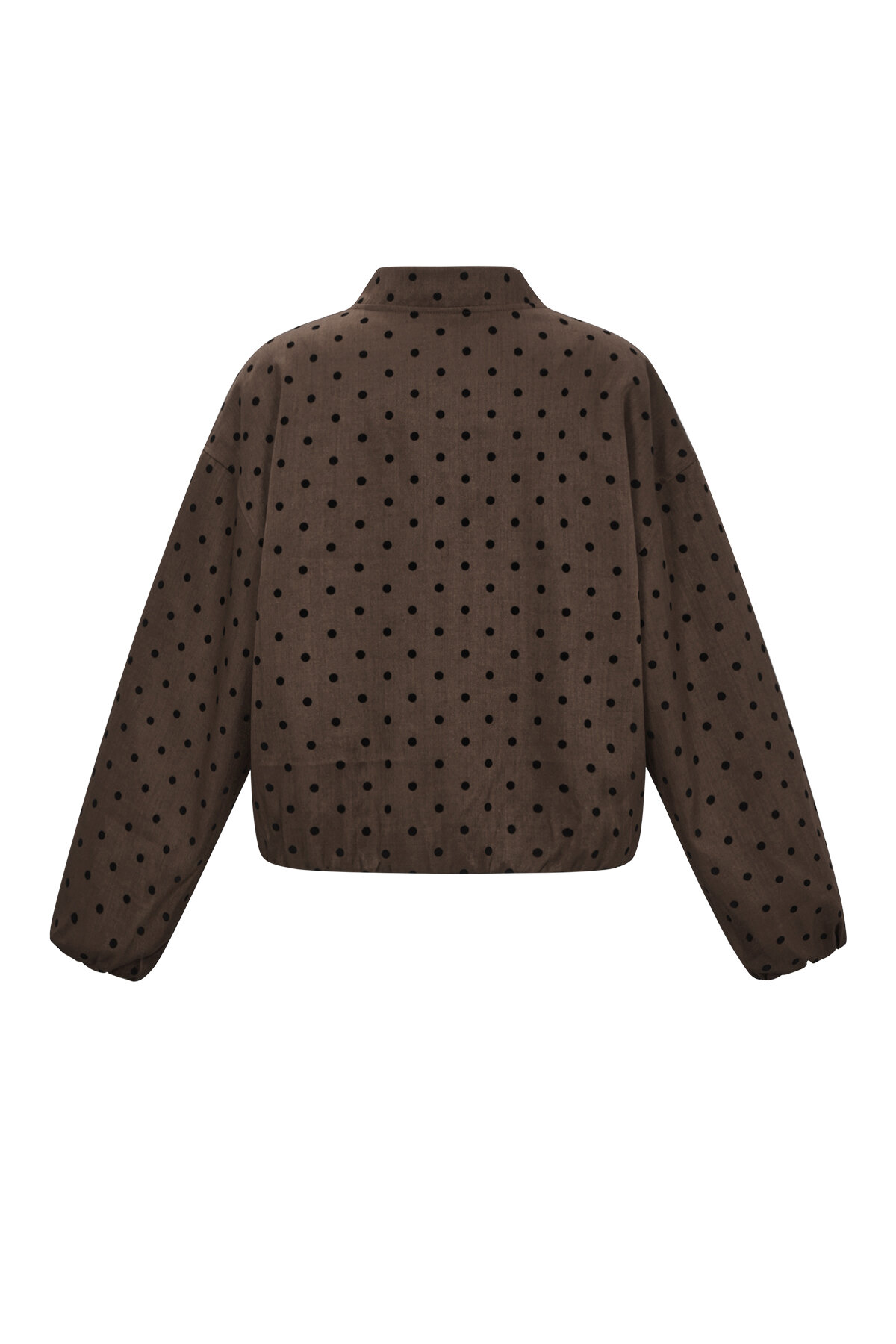 Dotted jacket h5 Picture3