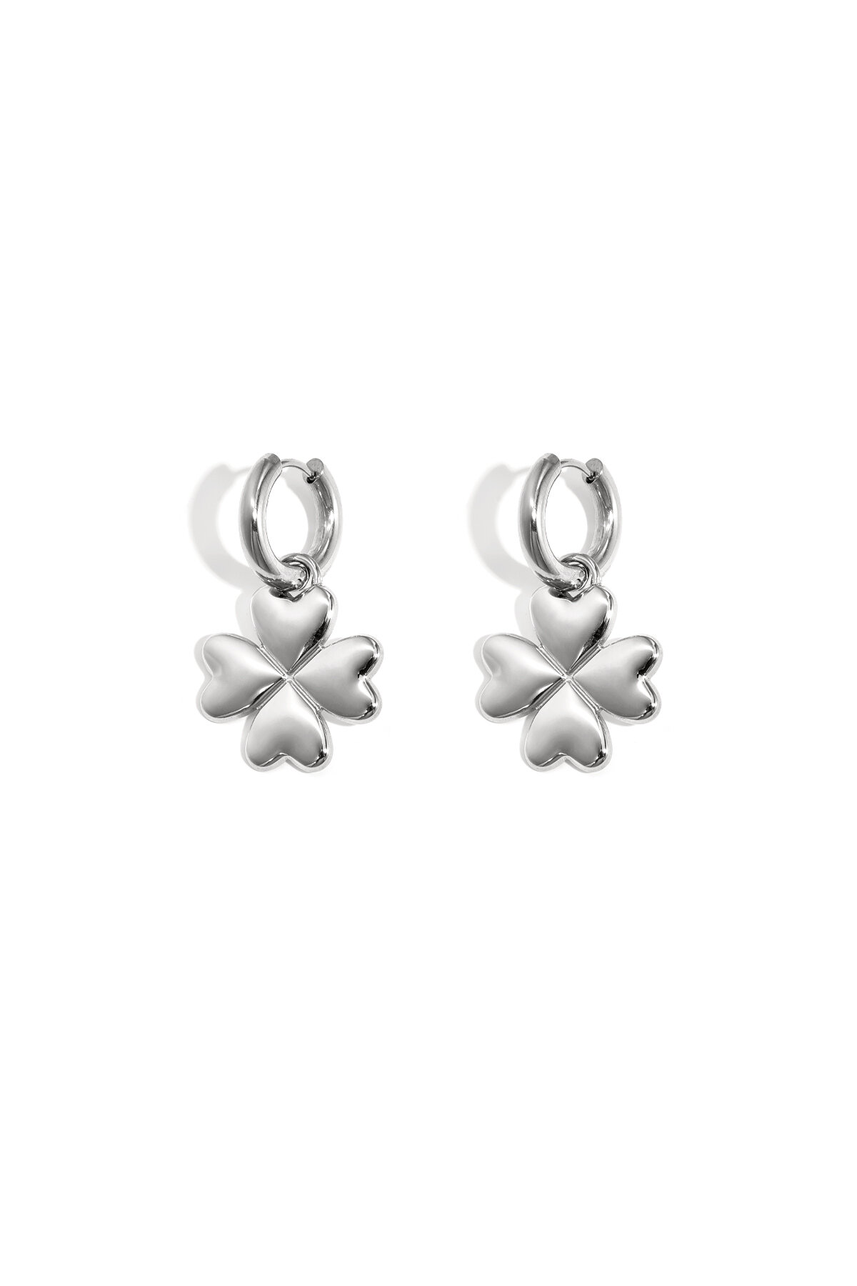 Silver Color Picture2