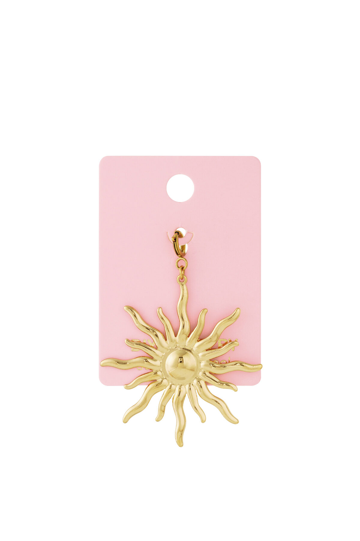 Sunny jewelry charm h5 Picture4