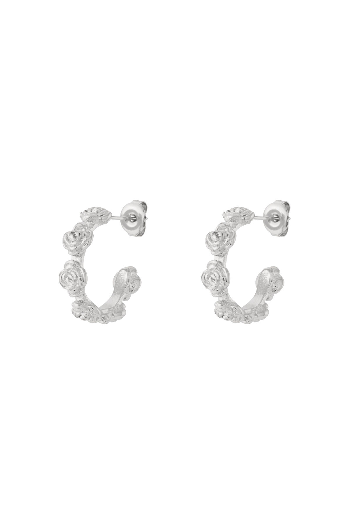 Silver Color Picture2