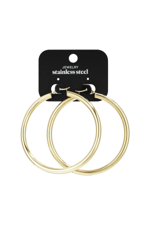 Stainless Steel Hoop Earrings Casual Daily Simple Series Women's Jewelry h5 Picture6