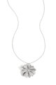 Silver Color Picture2
