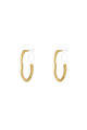 Gold Color
