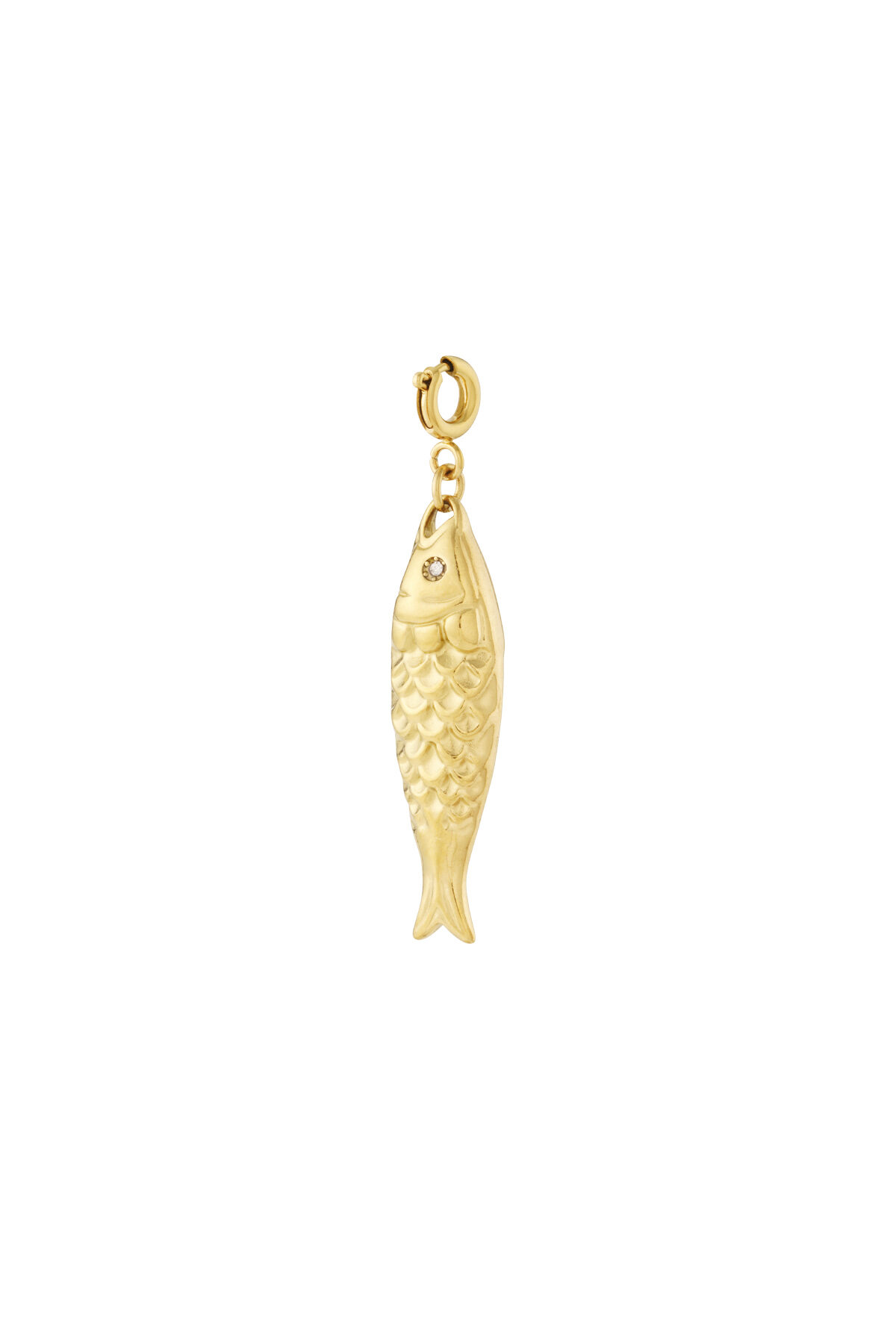 Gold Color