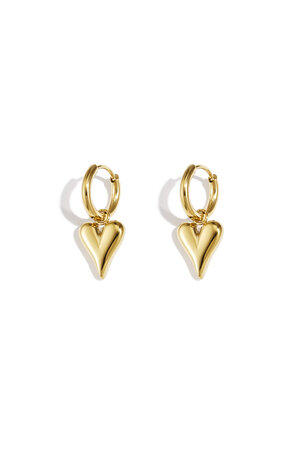 boucles d'oreilles en forme de coeur en acier inoxydable h5