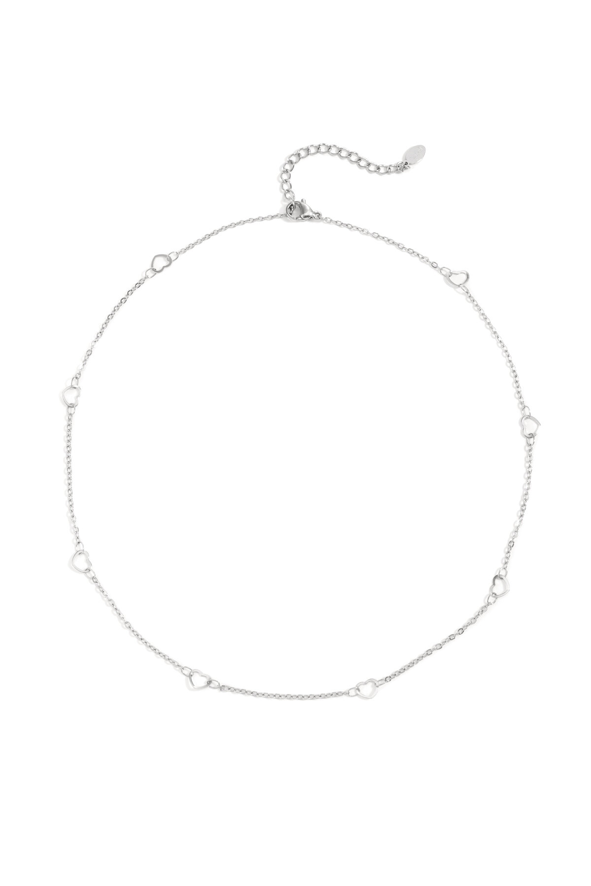 Silver Color Picture2