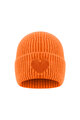 Orange Picture11