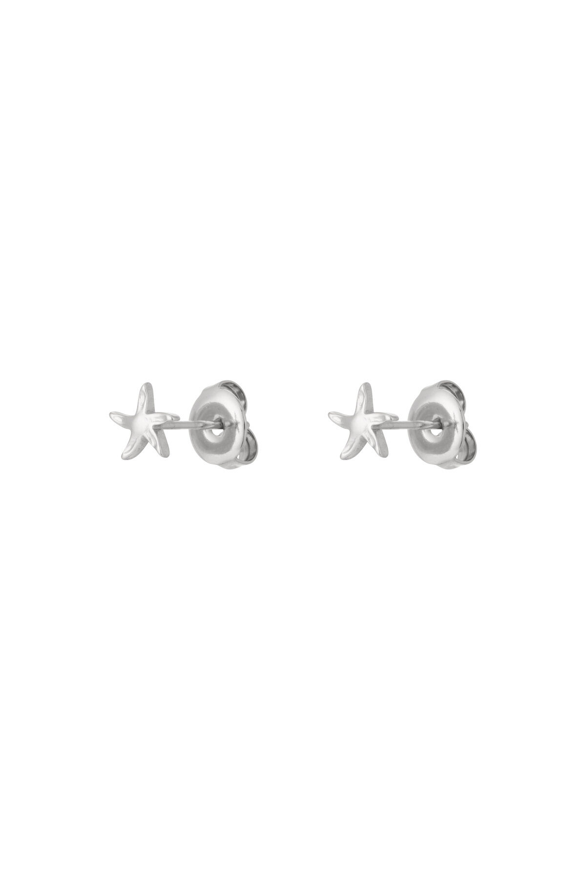 Silver Color Picture2