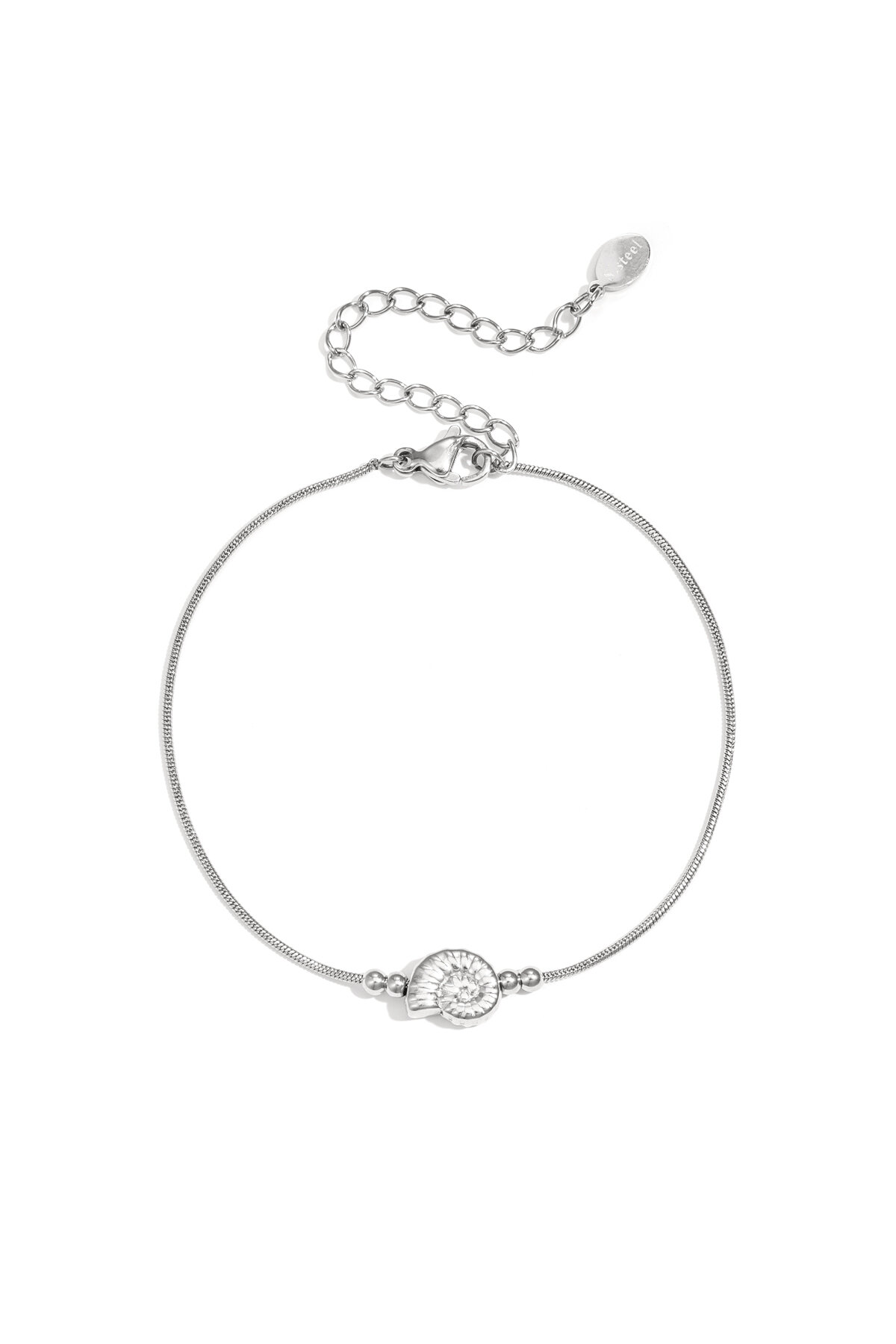 Silver Color Picture2