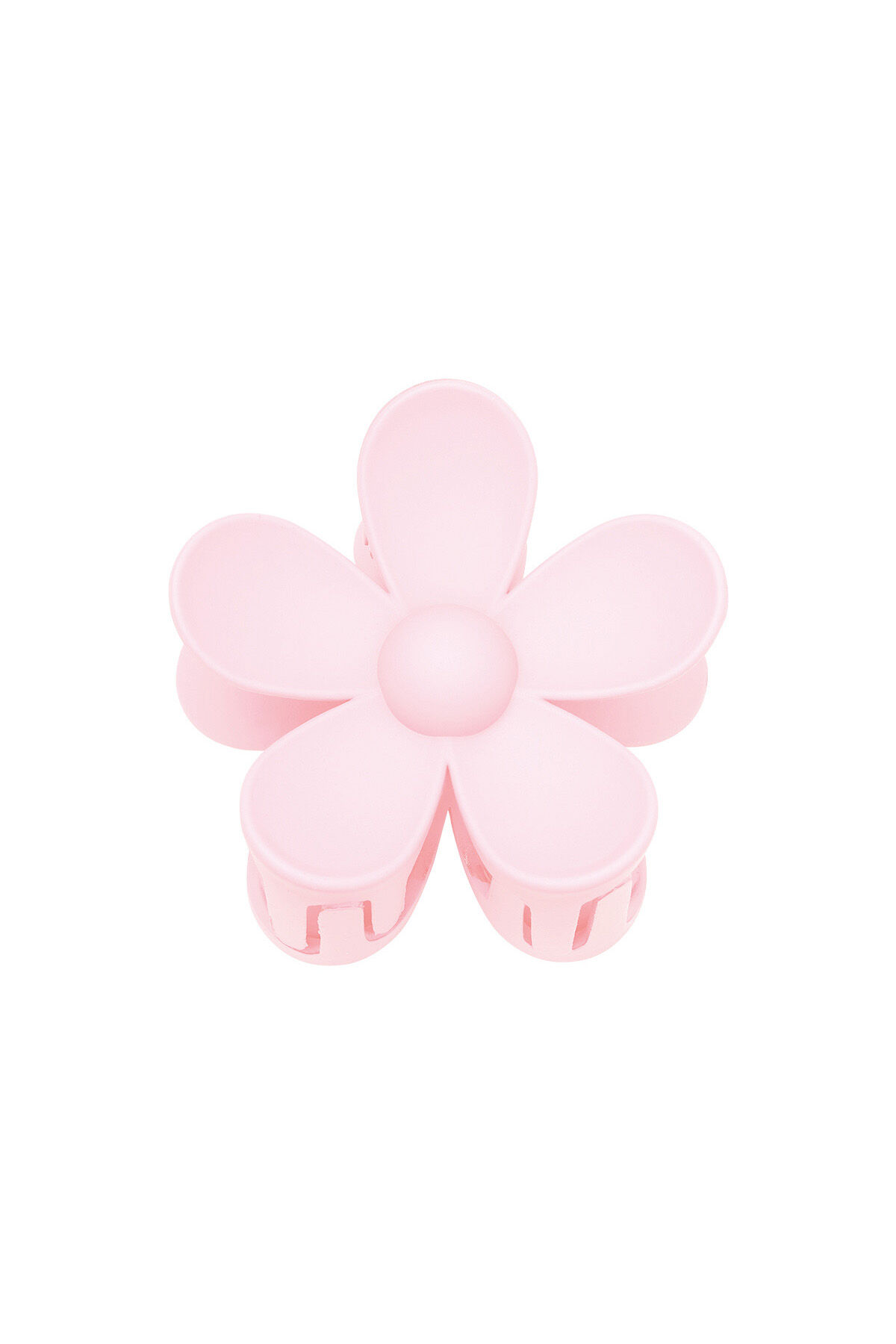 Rose Image10