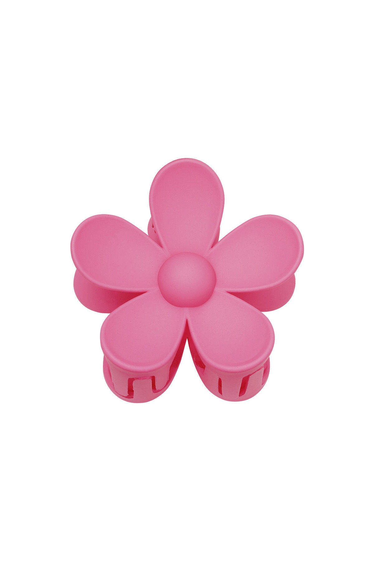 fuchsia Image6