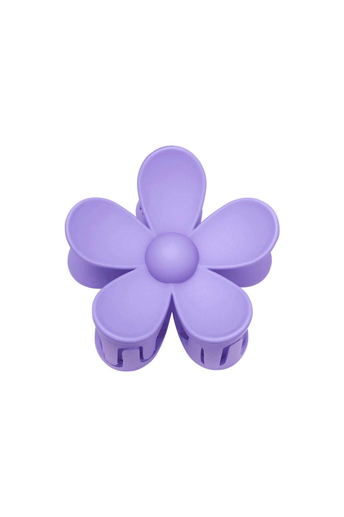 Violet Image9