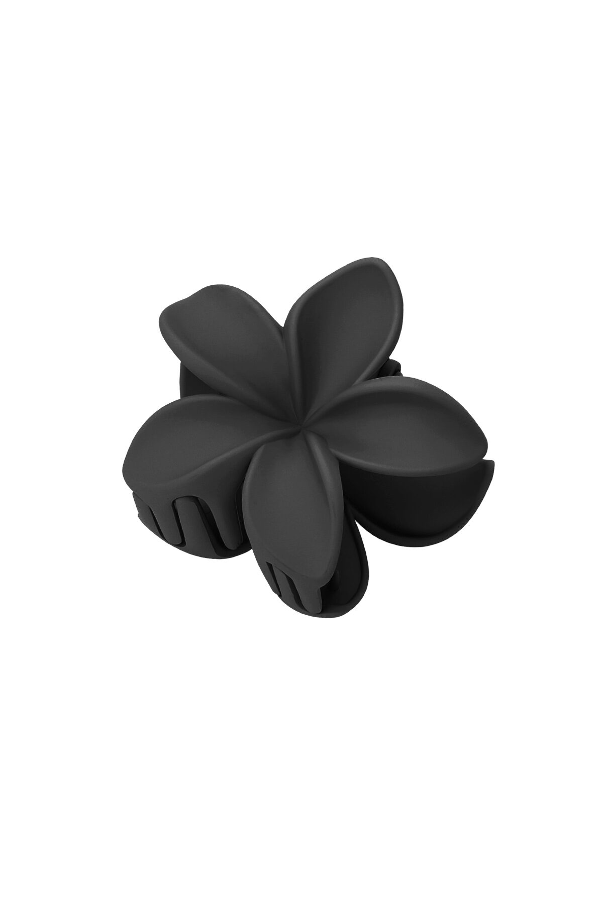 Negro Imagen13