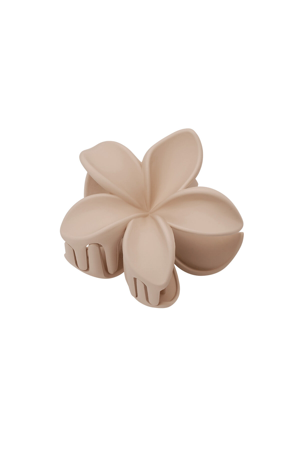 Beige Imagen12