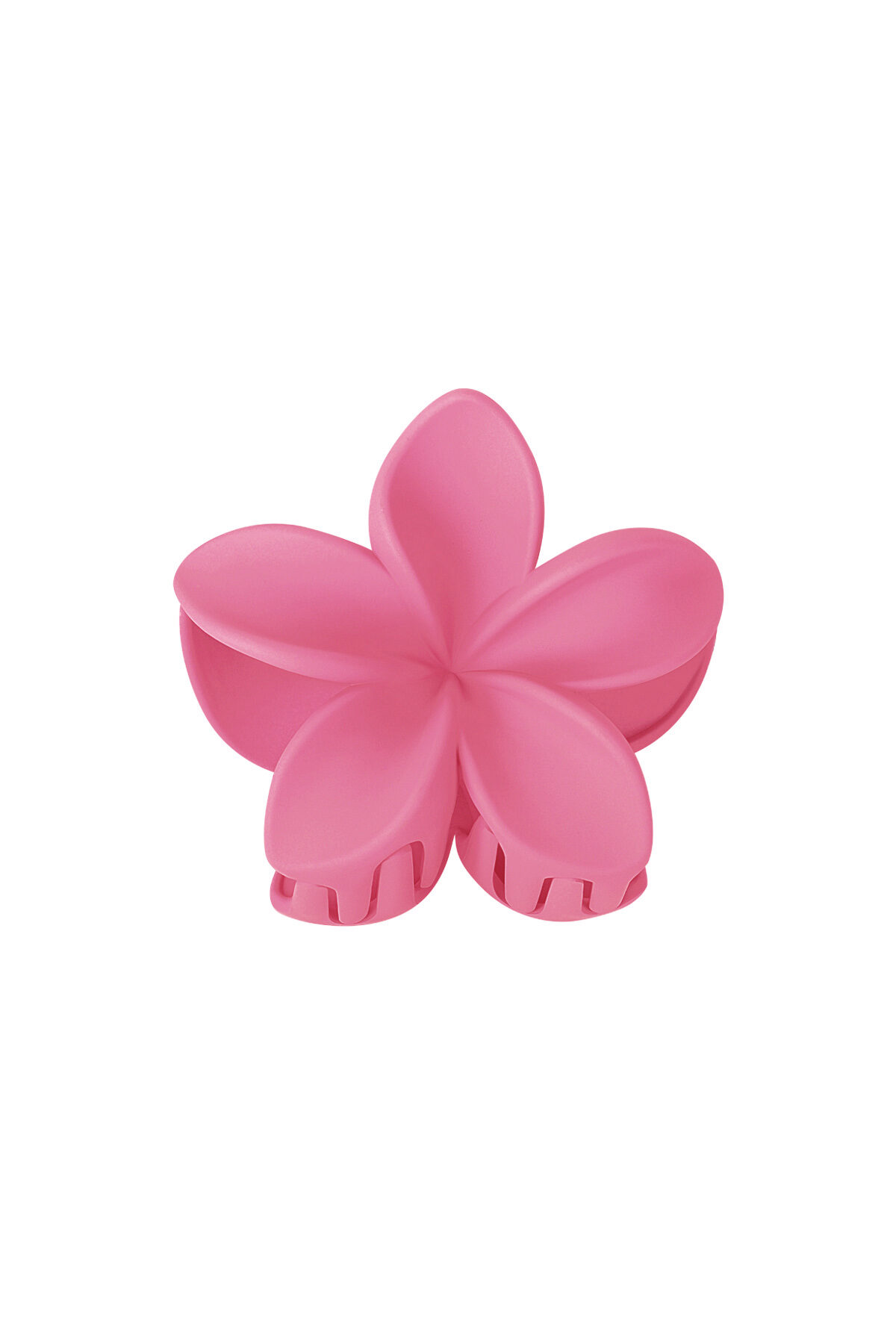 fucsia Imagen6