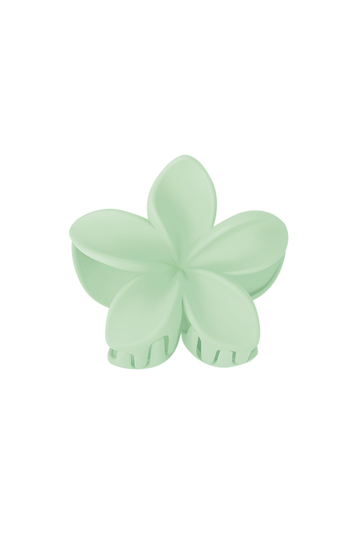 Groen Afbeelding10