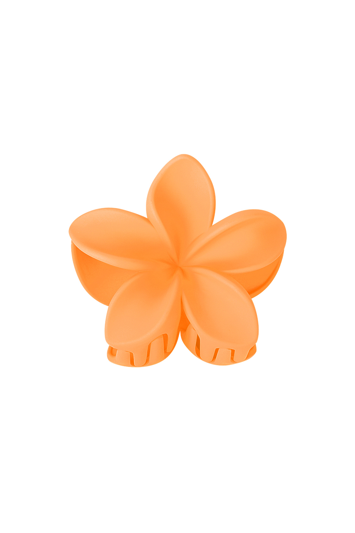 oranje Afbeelding12