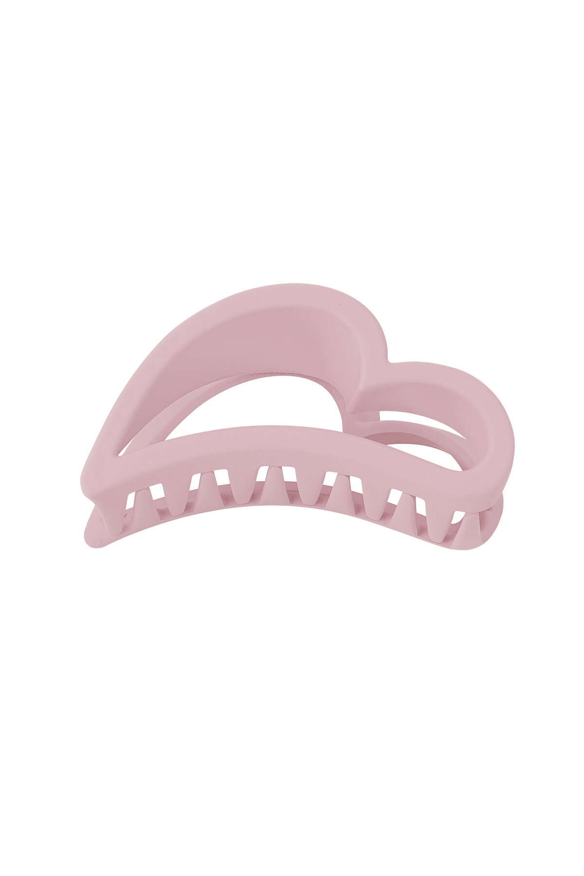 Rosa baby Immagine2