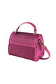 Fuchsia Picture2