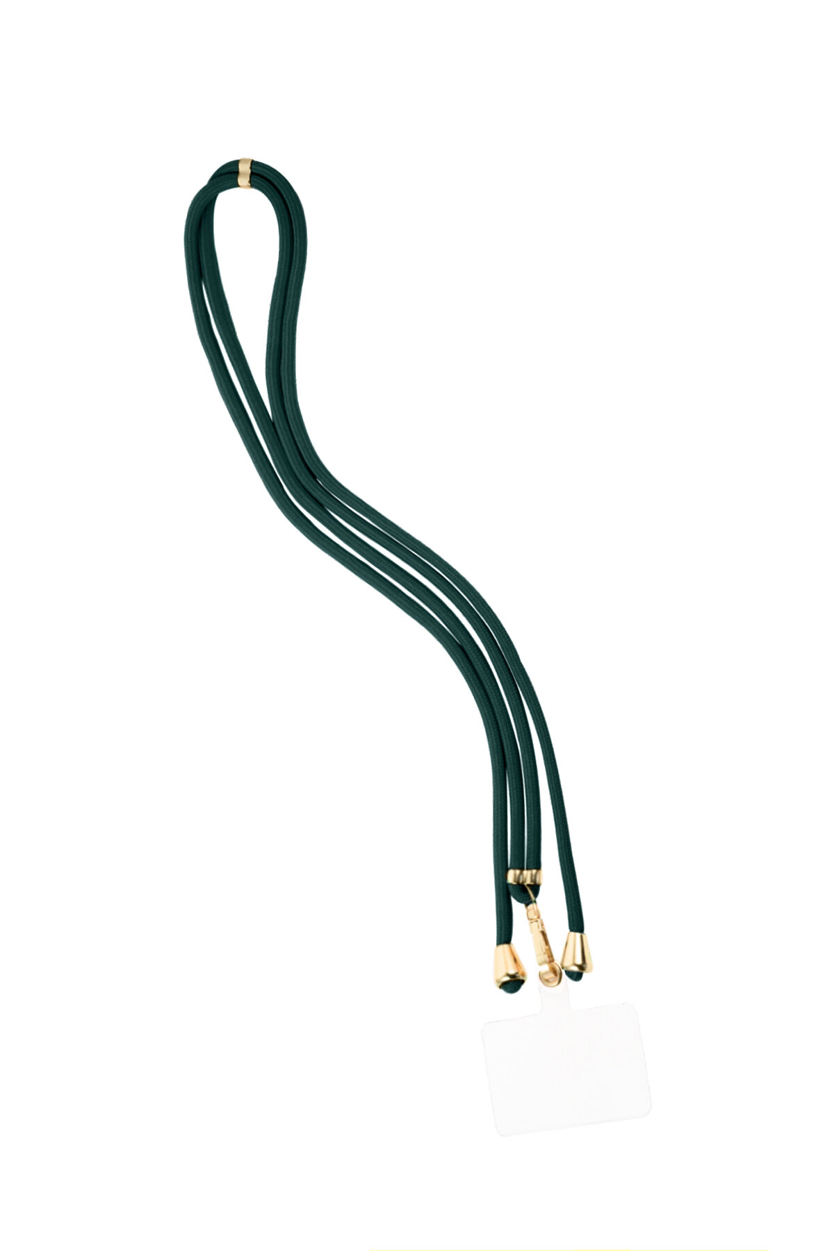 Verde scuro Immagine3