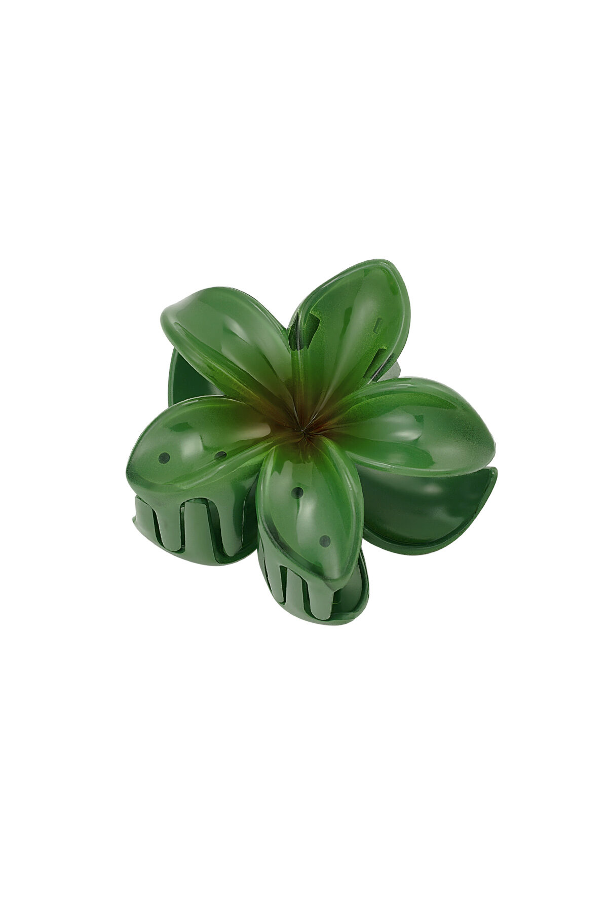 Verde Immagine5