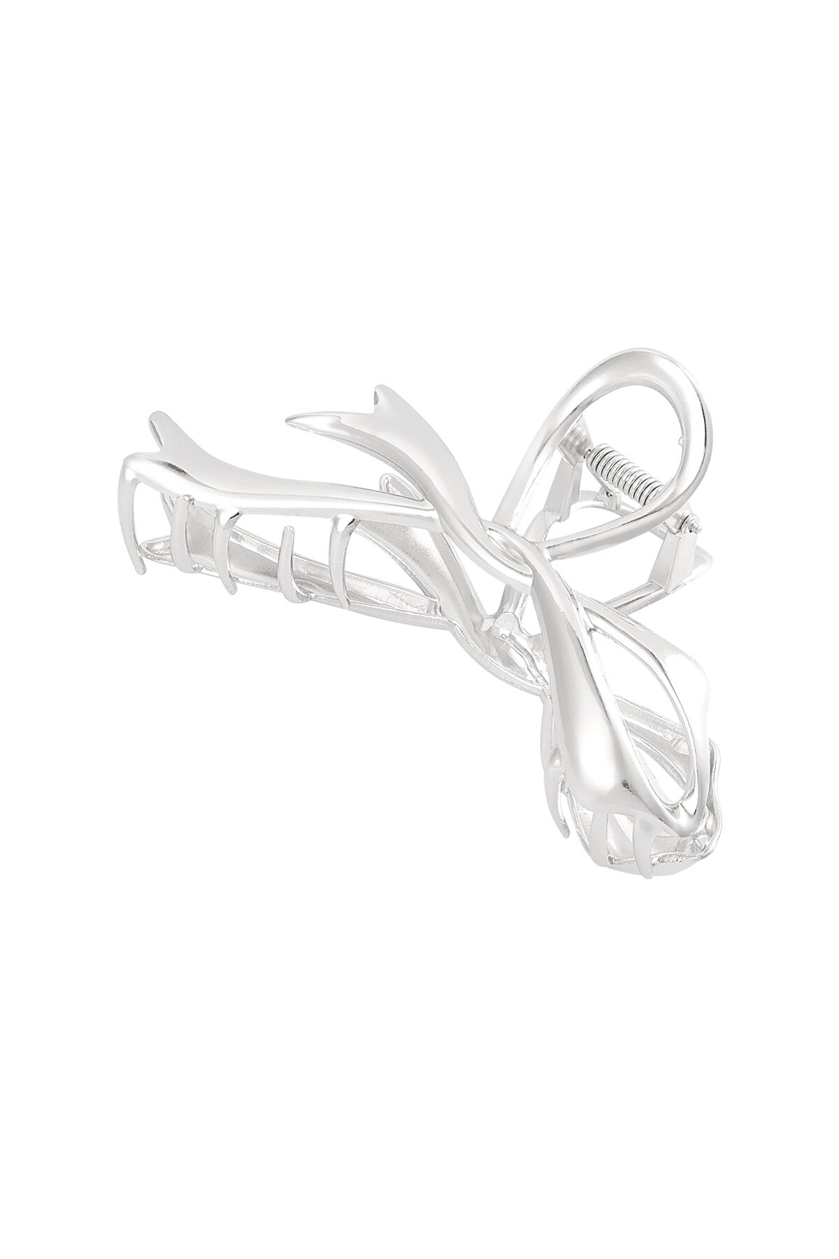 couleur argent Image2