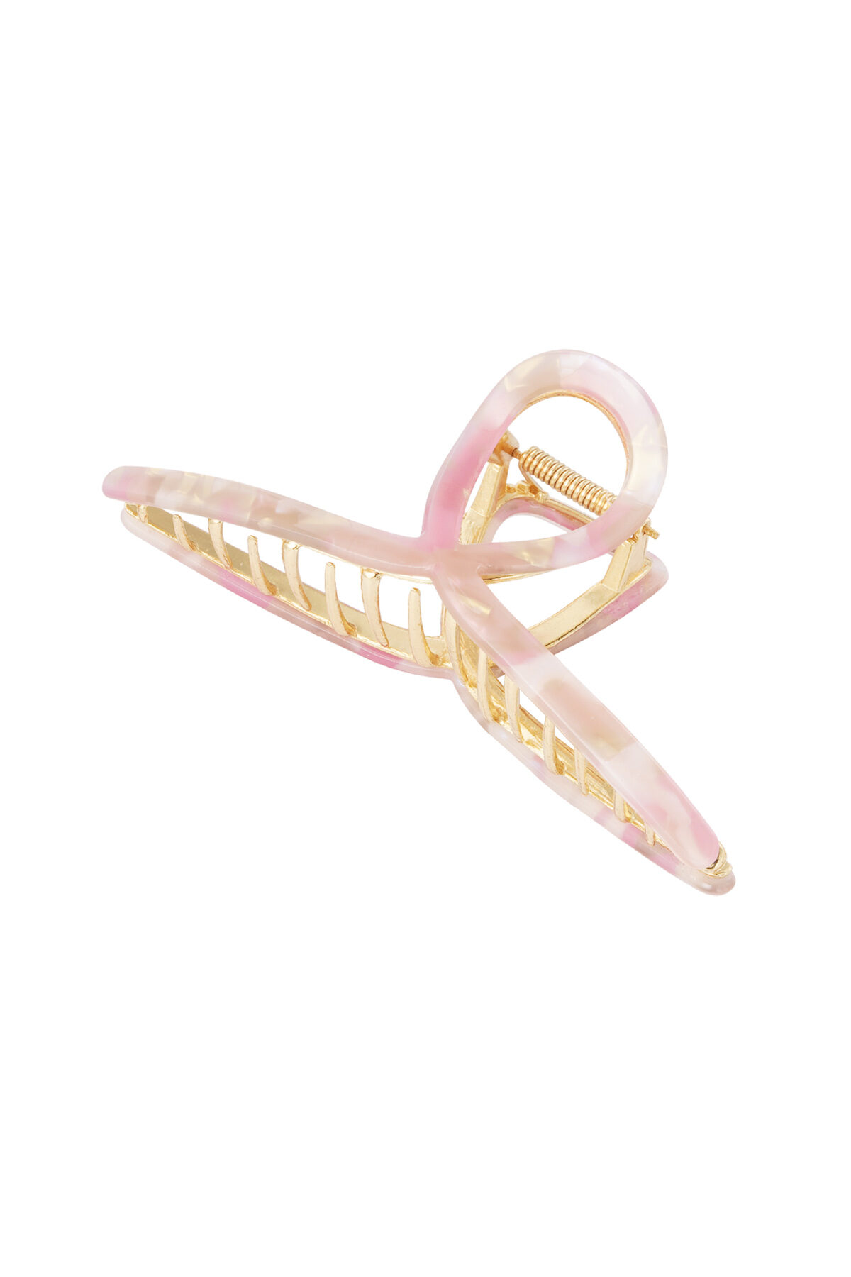 Rosa Immagine3