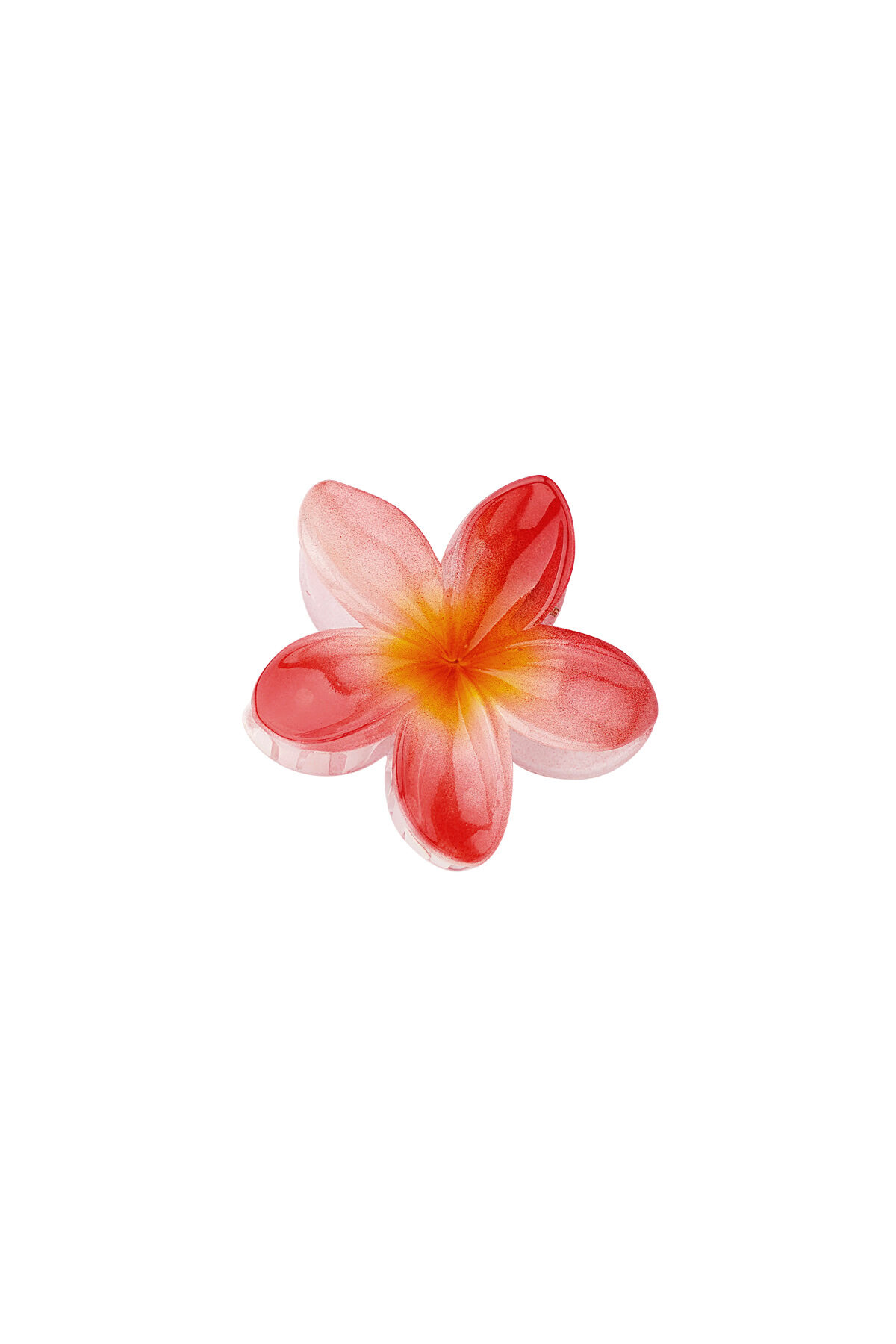 Haarclip Hawai dream 