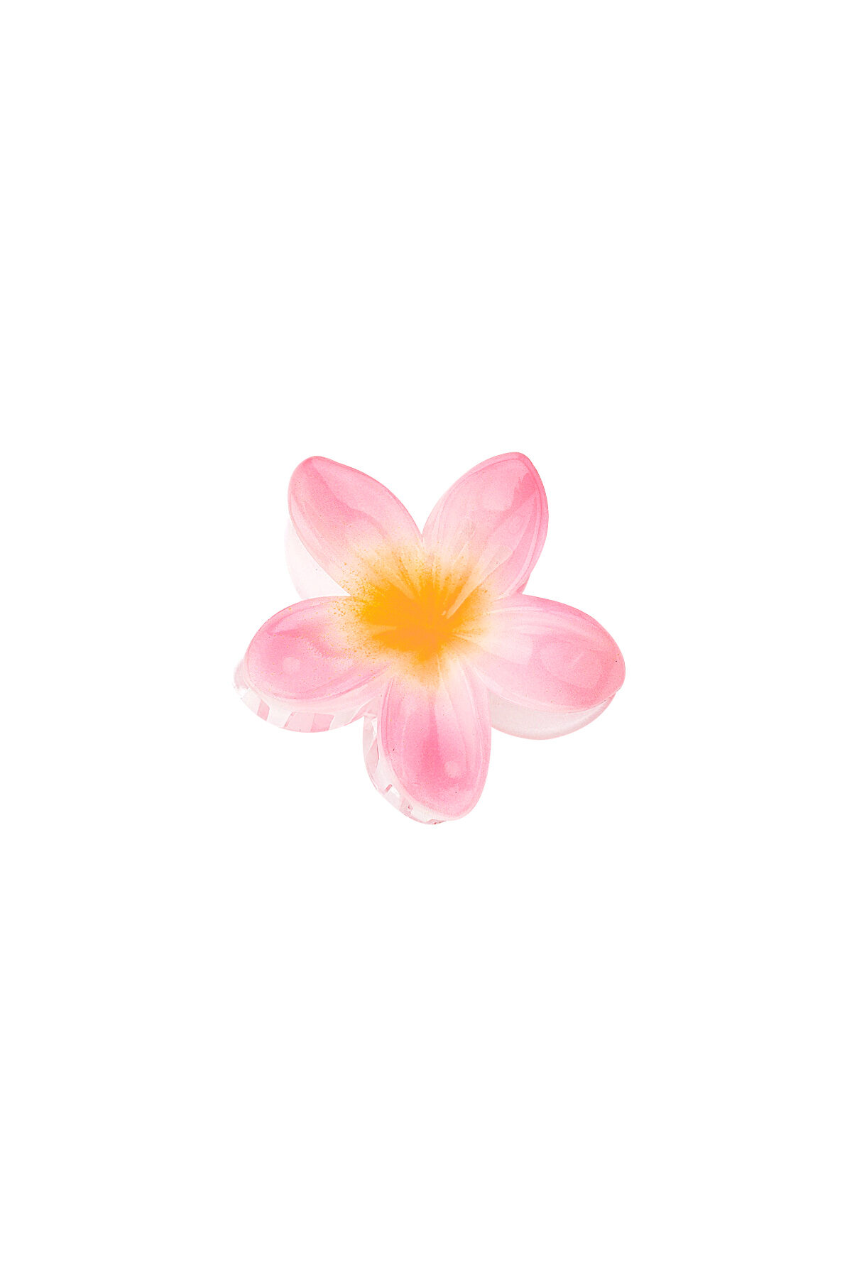 Babyroze Afbeelding2