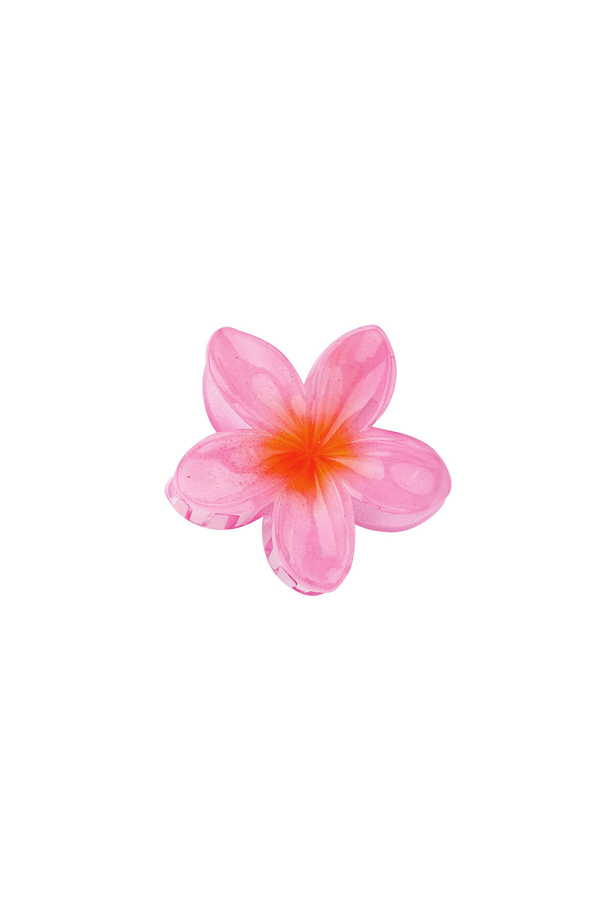 Roze Afbeelding3
