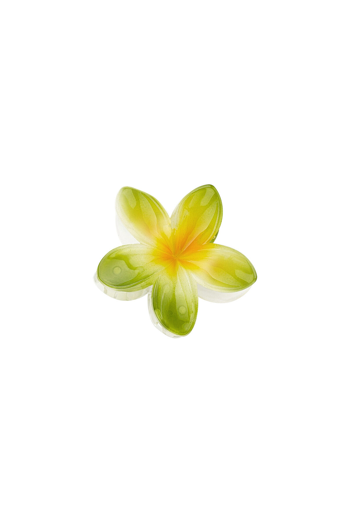 Groen Afbeelding4