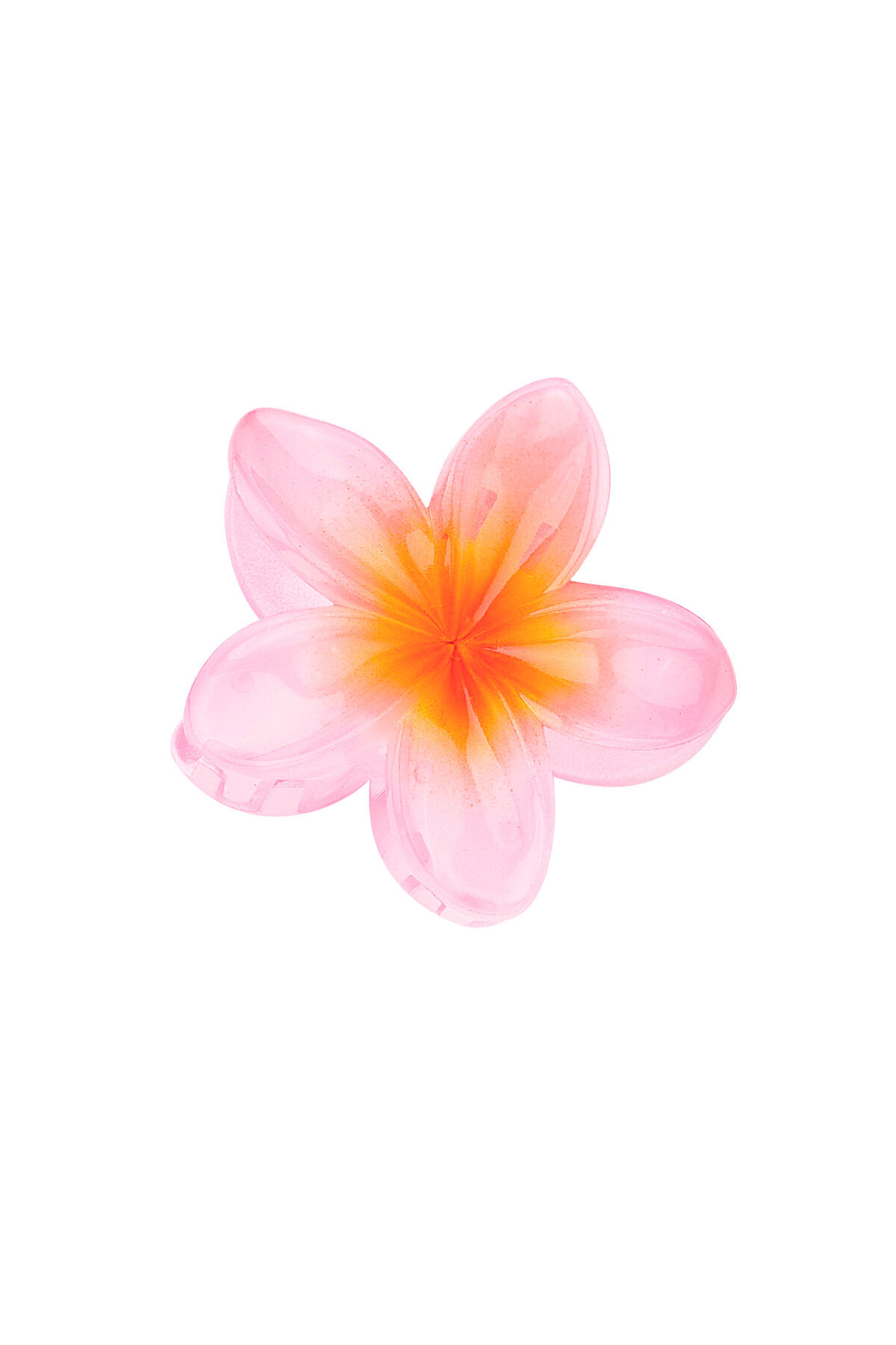 Babyrosa Bild3
