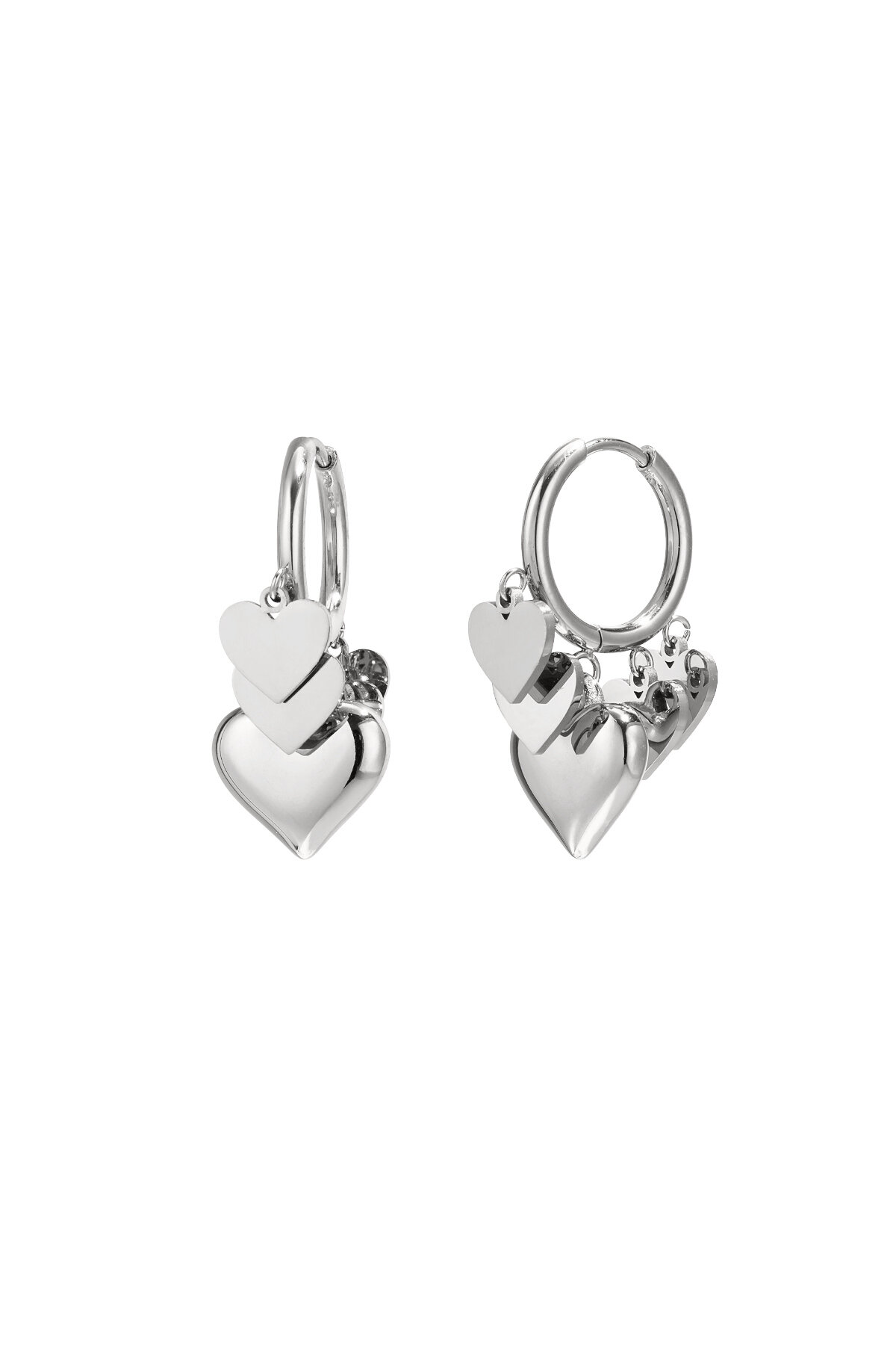 Silver Color Picture2