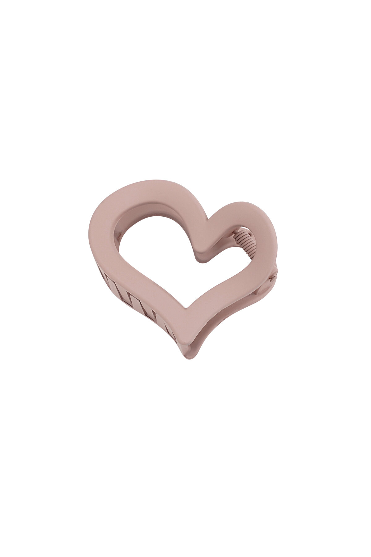 Rosa Immagine3