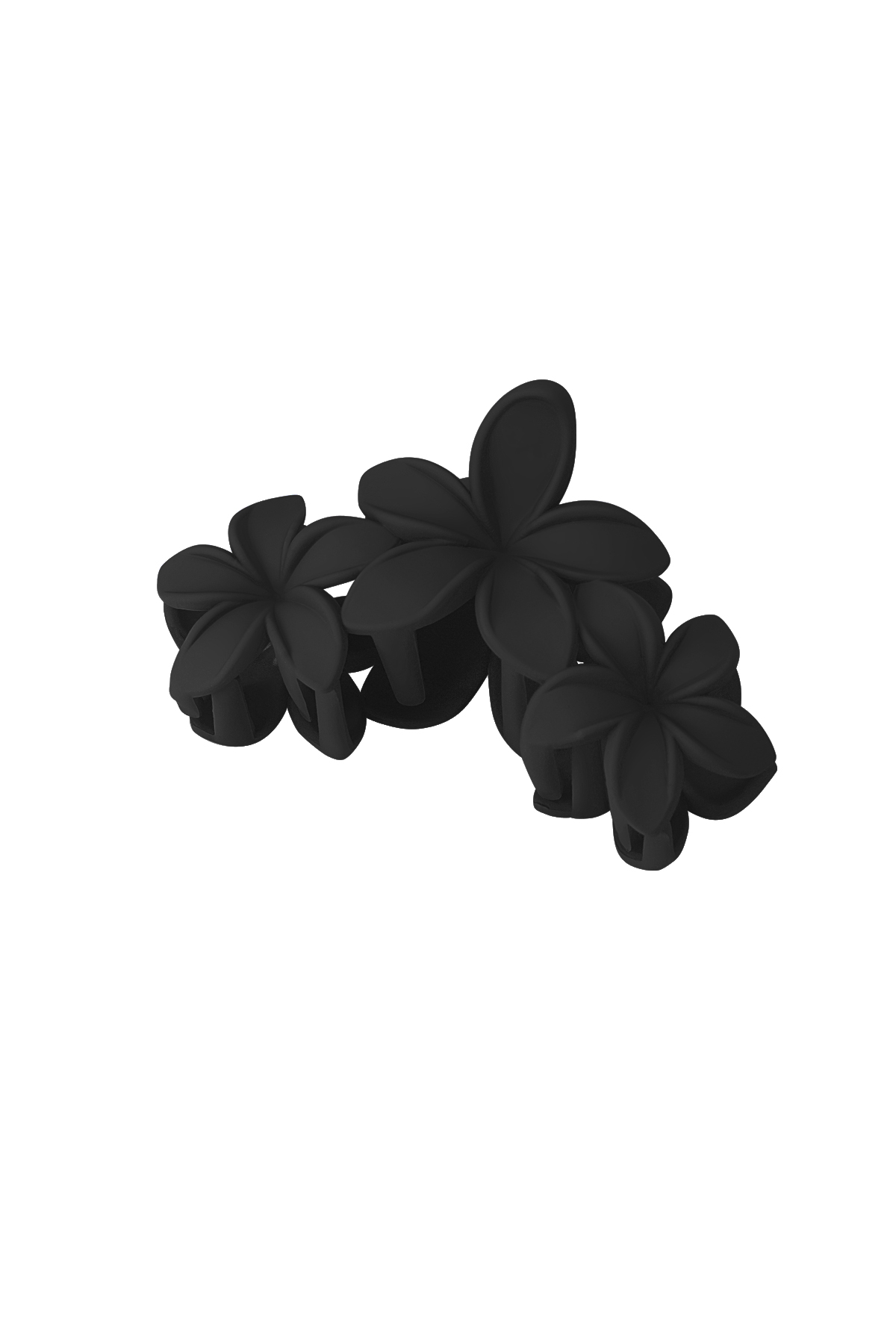 Negro Imagen3