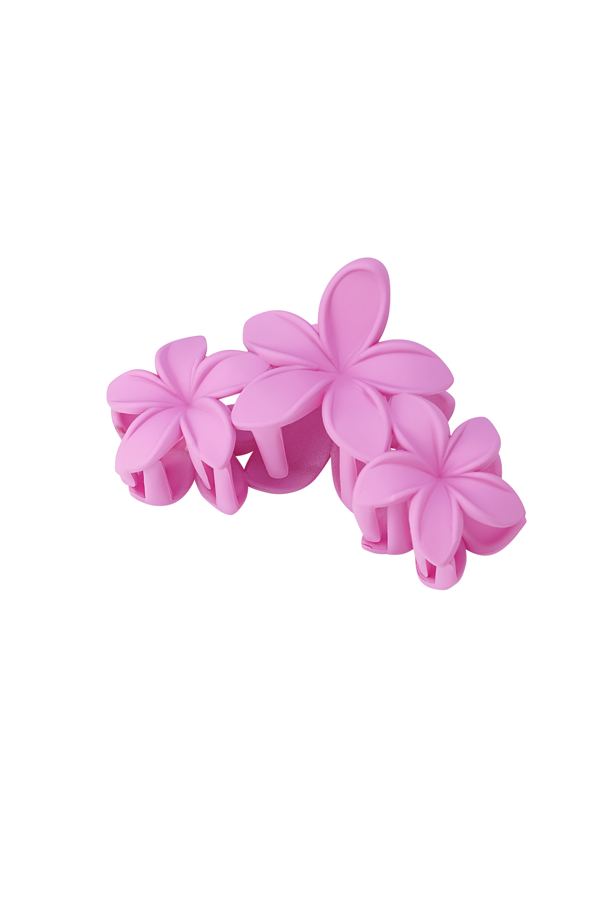 fucsia Imagen9