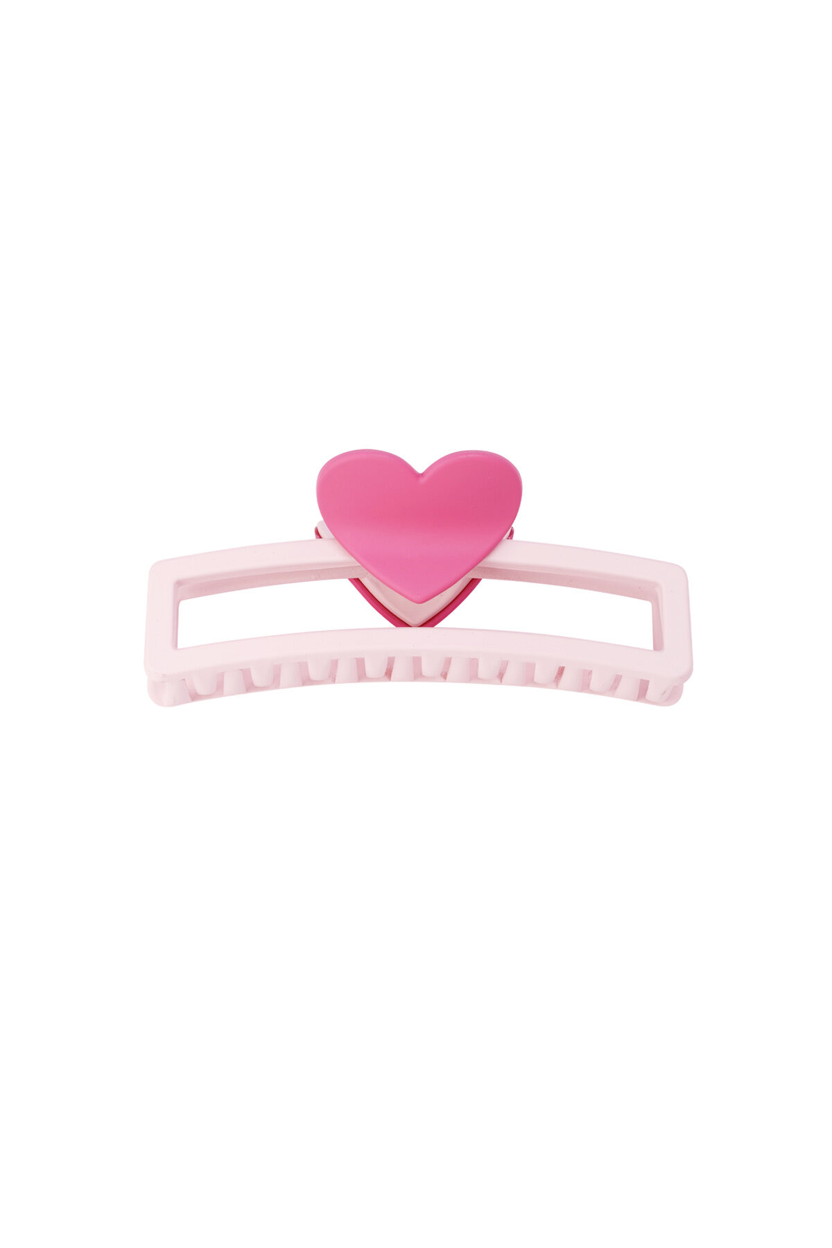 Rosa Immagine3