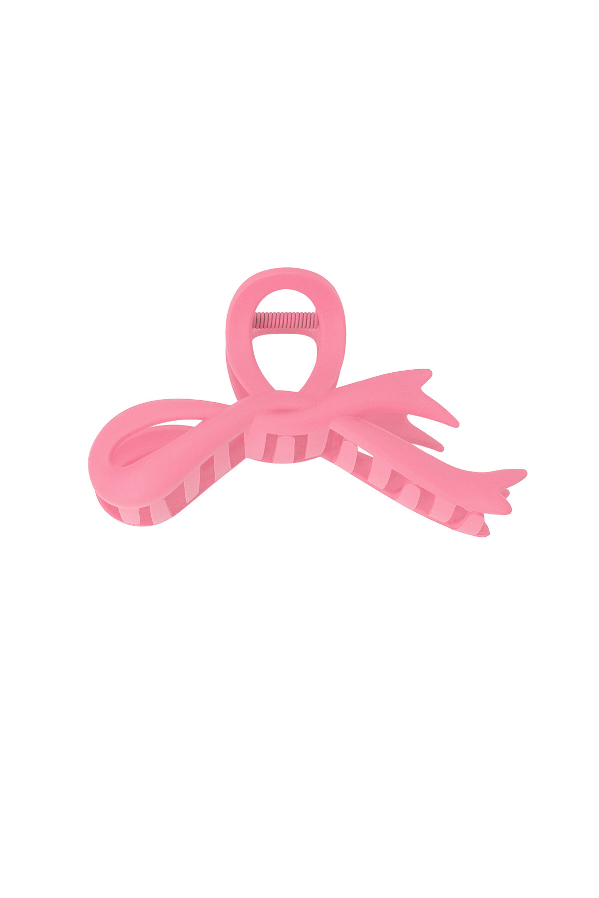 Rosa Immagine4